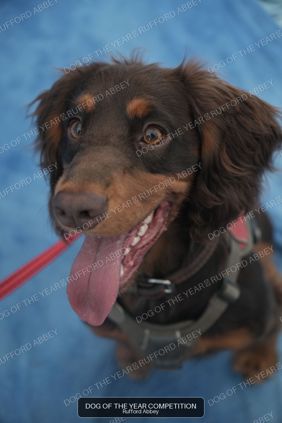 Otis