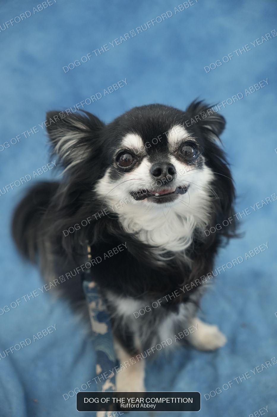Loki