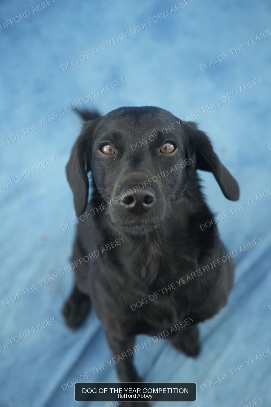 Molly