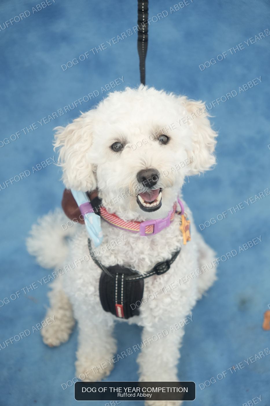 Binky